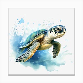 Sea Turtle 2 Canvas Print