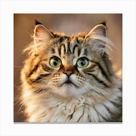 Portrait Of A Cat Canvas Print