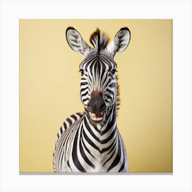 Zebra Canvas Print