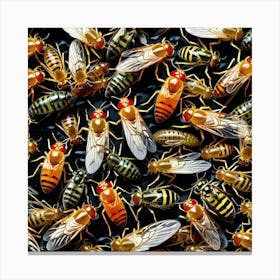 Flies On Black Background Canvas Print