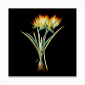 Prism Shift Golden Hurricane Lily Botanical Illustration on Black Canvas Print