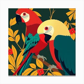 Parrots 3 Canvas Print