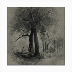 Tree In The Woods Canvas Print