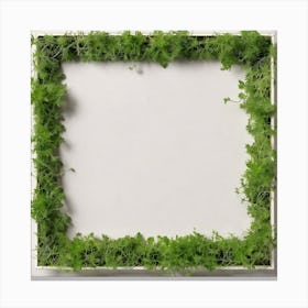 Moss Frame 3 Canvas Print