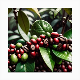 Coffee Beans On A Tree 76 Canvas Print