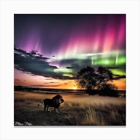 Aurora Lion Canvas Print