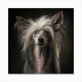 Portrait Of A Dog 15 Canvas Print