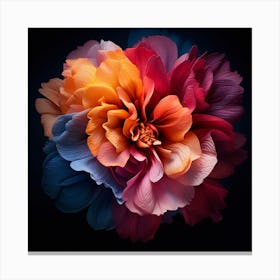 Flower On A Black Background Canvas Print