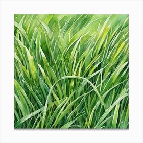 Watercolor Green Grass 2 Canvas Print