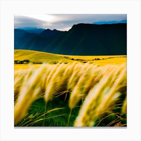 Small Mountains With Tall Yellow Grass That Shake Rhythmically With The Wind (1) Canvas Print