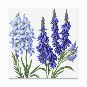 Wild Bluebells myluckycharm Canvas Print