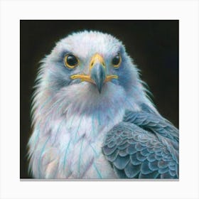 Eagle 7 Canvas Print