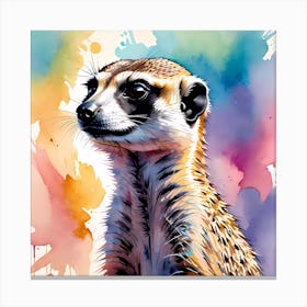 Cute Meerkat Painting Canvas Print