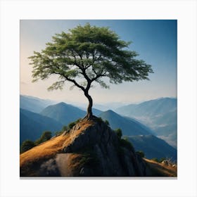 Lone Tree On Top Of Mountain 46 Canvas Print