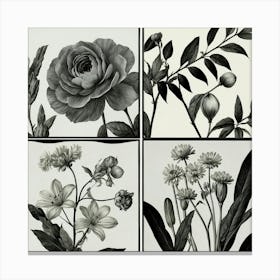 Black And White Flowers 2 Canvas Print