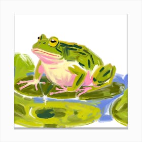 American Bullfrog 05 Canvas Print