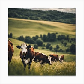 Cows In A Field 2 Canvas Print