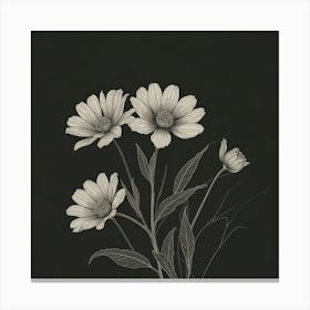 Black And White Flowers 4 Canvas Print