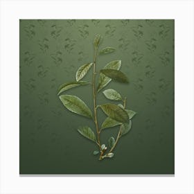 Vintage Grey Willow Botanical on Lunar Green Pattern Canvas Print