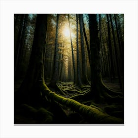 Mossy Forest Canvas Print