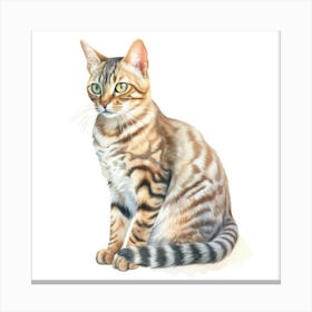 Bengal Rosetted Cat Portrait 3 Canvas Print