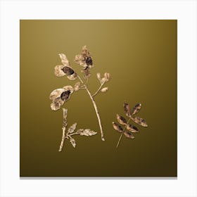 Gold Botanical Pistachio on Dune Yellow n.3375 Canvas Print