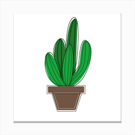 Green Cactus Canvas Print