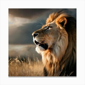 Lion In The Grass 1 Canvas Print