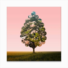 Flugbaum Canvas Print