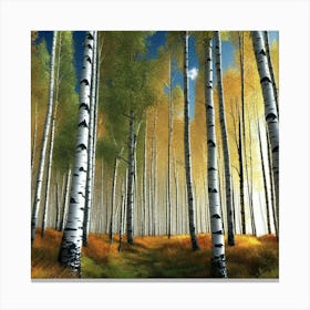 Birch Forest 33 Canvas Print