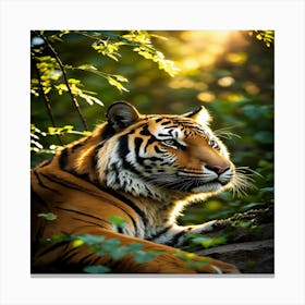 Tiger Canvas Print