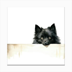 Black Pomeranian Dog Canvas Print