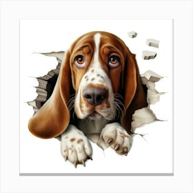 Basset Hound 1 Canvas Print