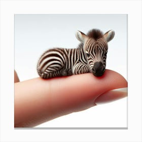 Tiny Zebra 1 Canvas Print