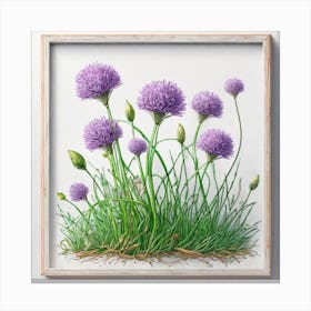 Chives 14 Canvas Print