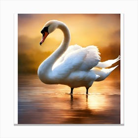 Swan At Sunset Canvas Print