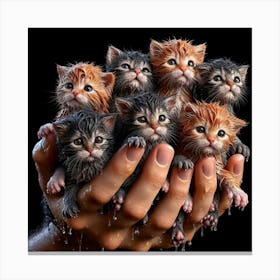 Kittens In Hands Canvas Print