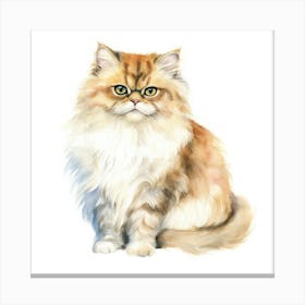 British Longhair Persian Cat Portrait Canvas Print