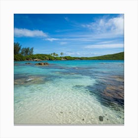 San Juan Island Canvas Print