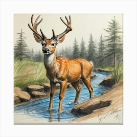 Deer By The Stream 2 Canvas Print