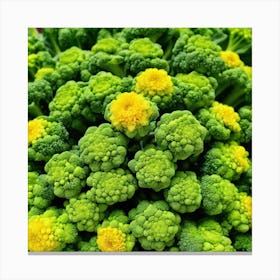 Close Up Of Broccoli 6 Canvas Print