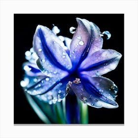 Blue Flower With Water Droplets 1 Canvas Print