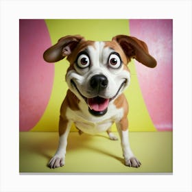 Funny Dog With Big Eyes Canvas Print