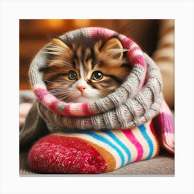 Cute Kitten In Socks Canvas Print