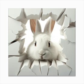 Rabbit Through A Hole 1 Canvas Print