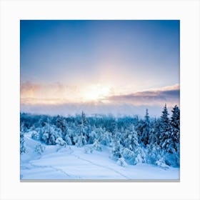 Abstract Landscape Showcasing The Battle Between Winters Chill And The New Years Promise Sun Rays (5) Canvas Print