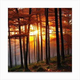 Sunset In The Forest 23 Canvas Print