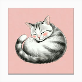 Cat Sleeping On Pink Background Canvas Print