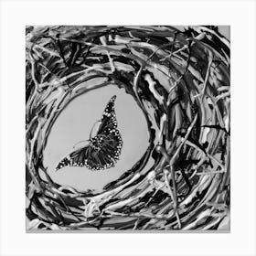 Butterfly 03 / Black & White / 30x30cm Canvas Print