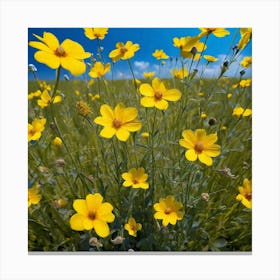 Yellow Cosmos Canvas Print